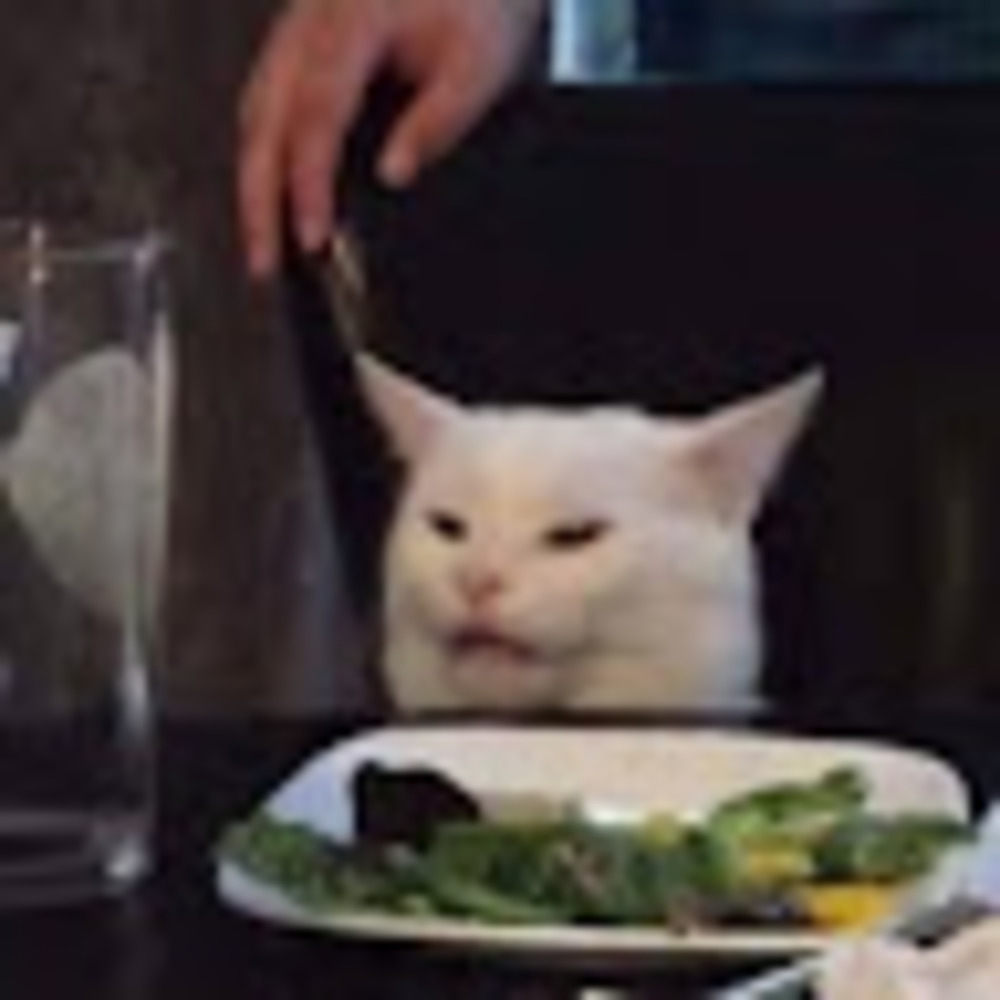 Meet your Posher, Kalli